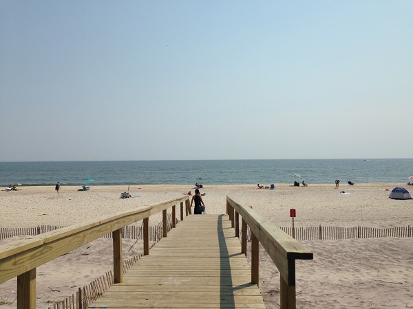 pines - fire island - ny