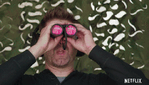 projeto-coelho-branco